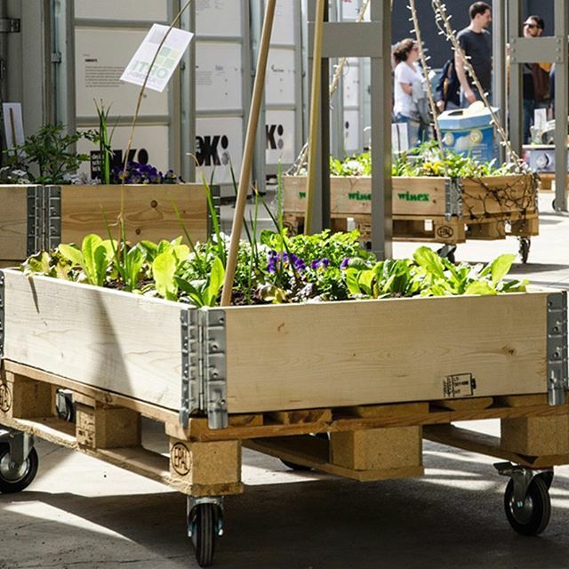 tactilehead's tweet photo. We’re excited to share our newest Partnership with @kitortourbano. This beautifully designed wooden crate on wheels, is the perfect solution to The Garden Project adopters 🌱 It can be used both in and outside, swiveled towards or away from the sun ☀️… https://t.co/9Kriobp5Cx https://t.co/ftN0N0MHTa