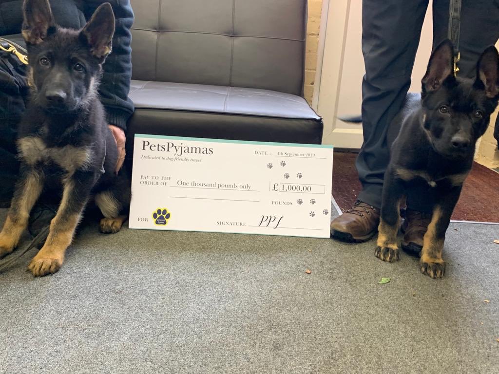 A HUUUUGE thank you to @PetsPyjamas for their donation of £1000 - presented to two hopeful recruits!!! @HantsTVPolDogs