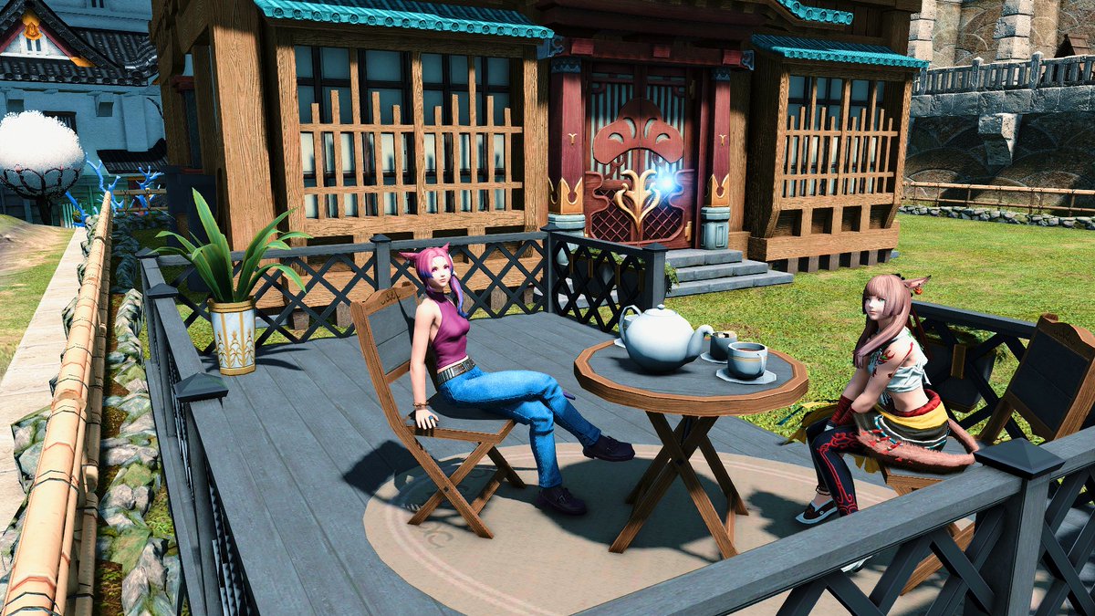 BurlyChocobo's tweet photo. @ffxivAndonoz I surprised them this afternoon by visiting *their* house! it's still mostly empty but I found this cute kitty in it and had to pat pat pat. https://t.co/ofWFsni0qO