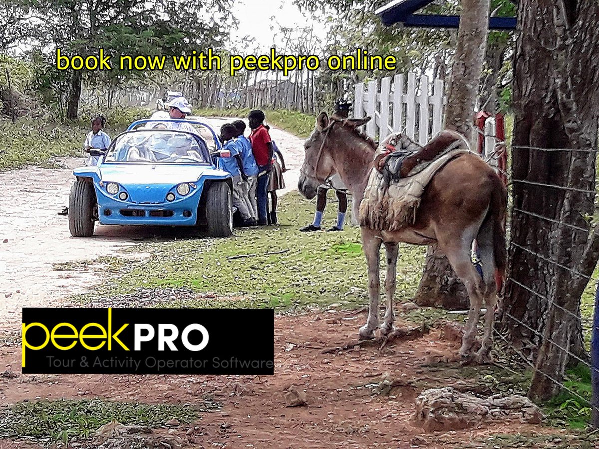 funbuggy's tweet image. book online true are new page