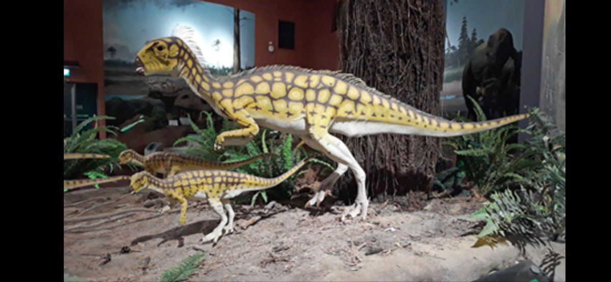 Bryan Schnarr Choose Your Dino Pet Velociraptor 2 5 Feet Tall 6 Feet Long 30 Lbs Hypsilophodon Similar Height And Length To Velociraptor But Weighs 45 Lbs Sinosauropteryx 1 Foot Tall