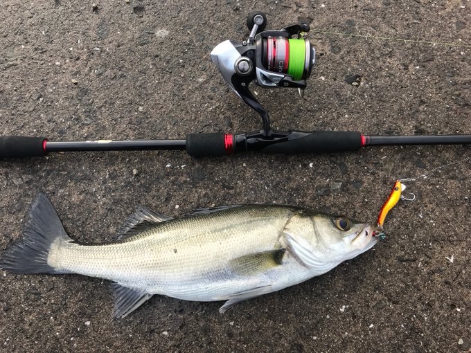 シマノ Shimano エギングロッド 18 セフィア S86m オールラウンド 操作性 遠投性 パワーのバランス型 Saikoukyuu ロッド 竿 Wordsliive Org