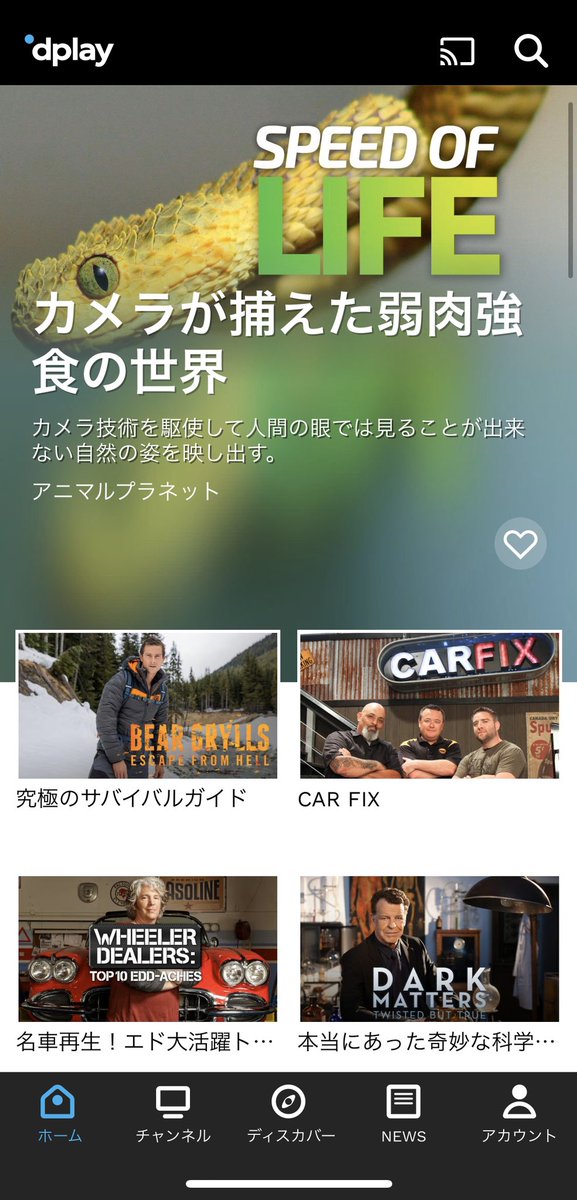 d0o0b9's tweet photo. 待って待ってまじでこの世のディスカバリーチャンネル好きに吉報なんだけど
アプリストアからDplayと検索して今すぐスマホに入れ会員登録するのです。
そうすれば、ディスカバリーチャンネルコンテンツが見放題になるのです。
しかも吹き替えや日本語字幕で視聴できるのです‼︎
全国のD好きに伝われ！ https://t.co/EOYlzRywZN