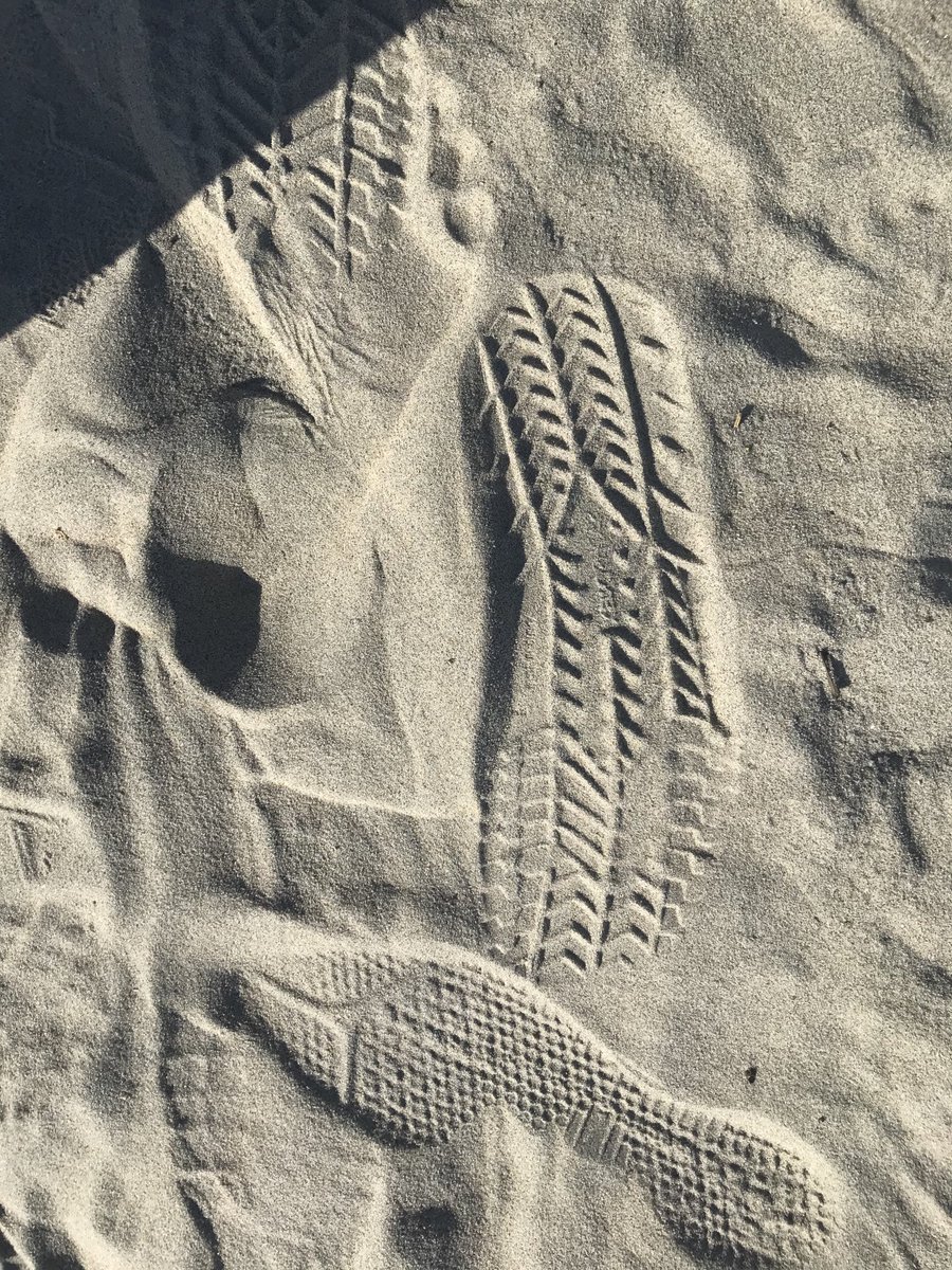 PrimitiveHealth's tweet image. Xero Shoes Colorados left their mark on Coronado beach, San Diego😊