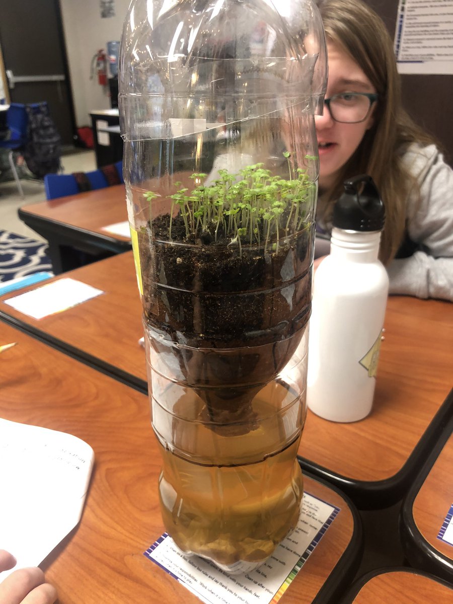 andra_boney's tweet photo. Our eco-bottles are sparking great conversations. How will the needs of the organisms in the terrestrial ecosystem be similar to the needs of those in the aquatic system? #cockrelllearns #Prosper4ward @CockrellChamps @ProsperTMTurner https://t.co/OY2OhXOrD3