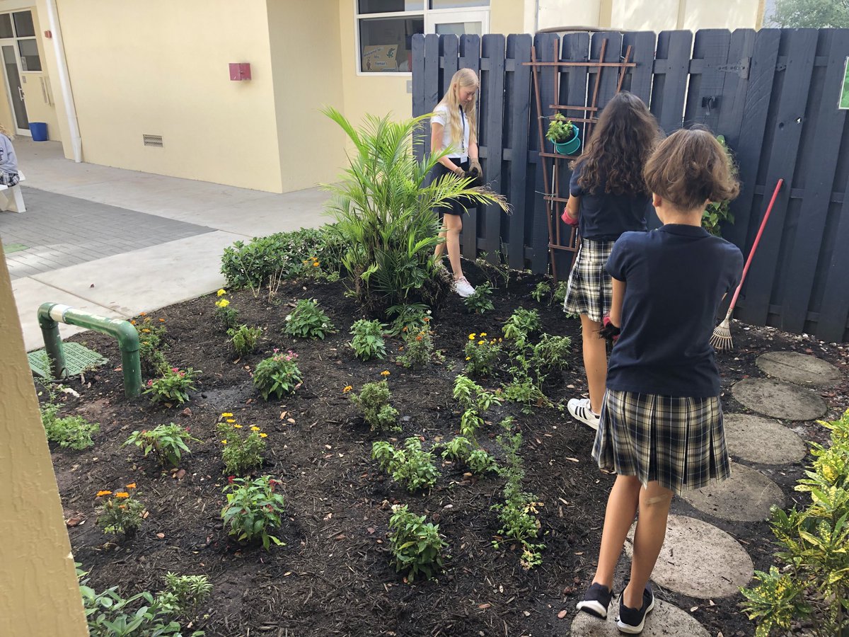 vhopekennedy's tweet photo. This amazing shade pollinator garden is brought to you by team @thePollinators caring for & harvesting some extra cilantro 🌱 to donate to our school cafeteria @NBGreenFoot @FlikISDining @NBPSEagles #greeningNBPS #PollinatorsRule #ScienceRocks #nb6thgrade https://t.co/5AyBH8Fila
