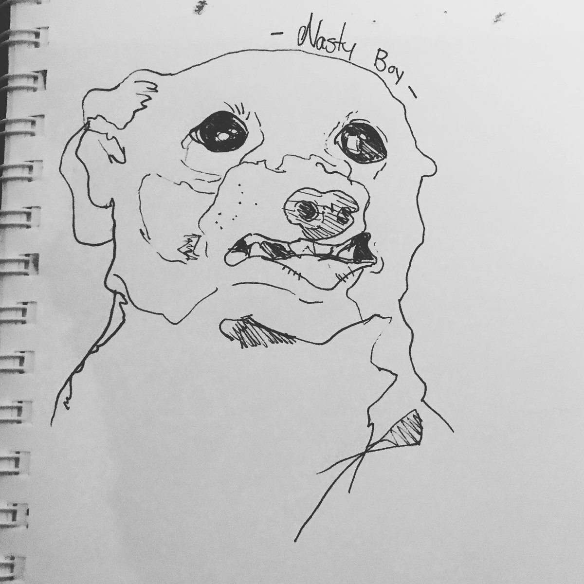JellySquidling's tweet photo. Just some real nasty boy. The whiniest baby. #jennamarbles #cermit #fanart #dogs #dailysketch https://t.co/JOXOEBgu6n