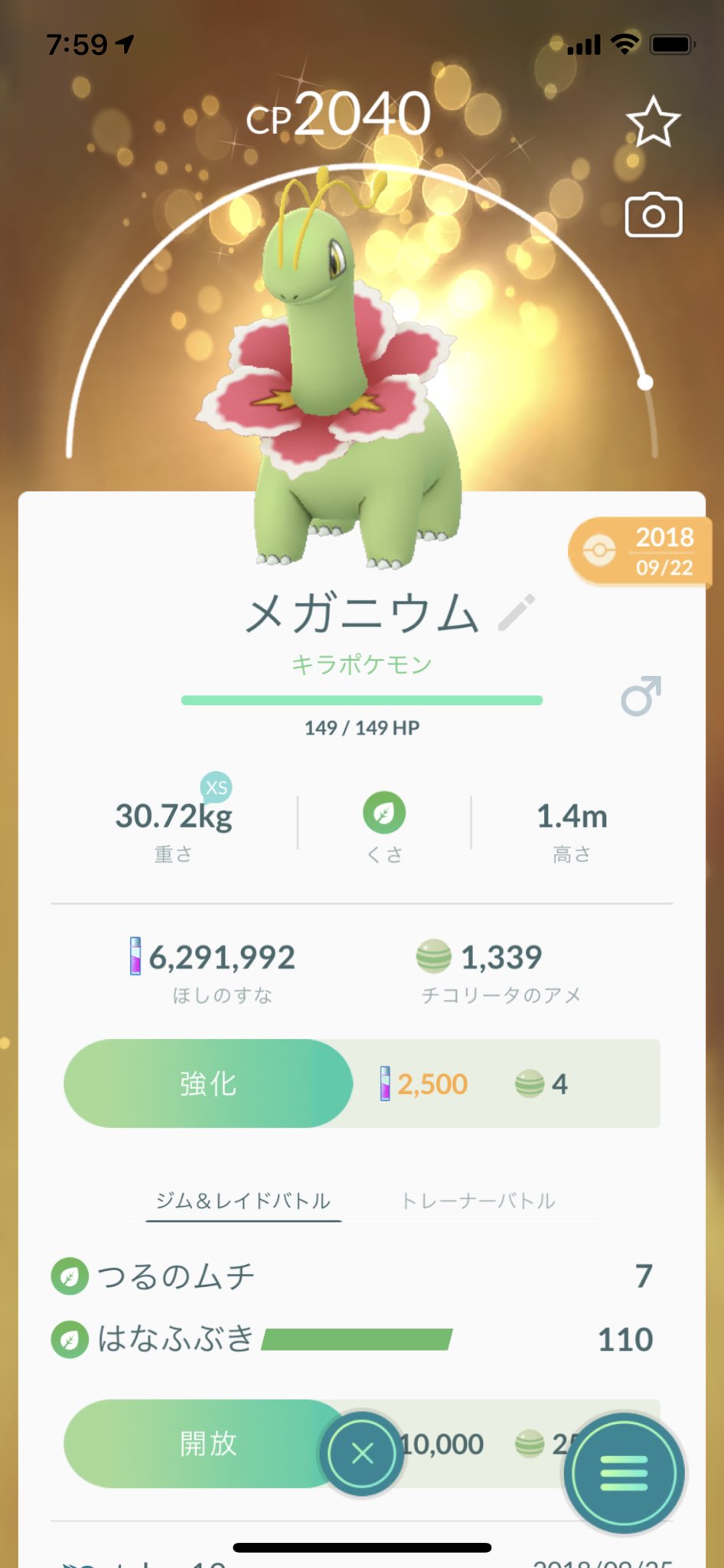 ポケモンgo部 ロケットニュース24 メガニウム ハイパーリーグ用の良個体値 トレーナーバトルの鬼 T Co M6cgcybcj7 Twitter