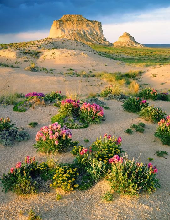 Lilian2020 (@lilian8090) on Twitter photo 