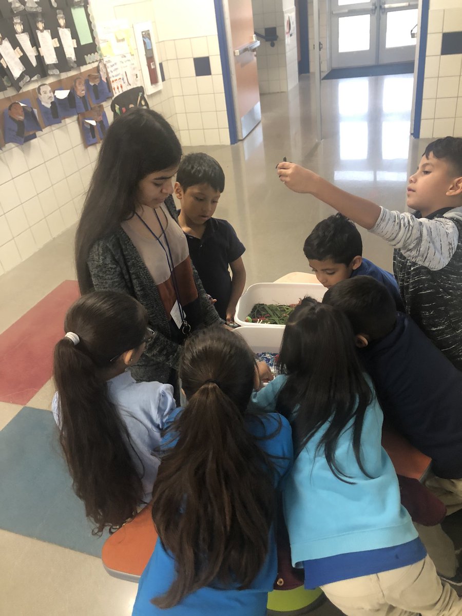 edu_lhs's tweet photo. Future Educatirs in action today! Principles of Ed learning how to find and reference TEKS and Teacher Prep presenting their first lesson at training sites! 😍 @HaysCISDCTE @zunigak13 https://t.co/UPrQWfpFCC