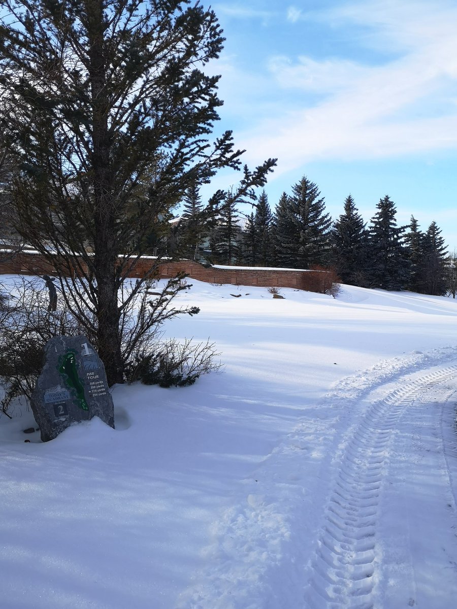 WindmillGolfG's tweet photo. 36 days till Spring! The countdown is on βΊοΈποΈ
#golfisgood #windmillgolf #yyc #golfyyc #calgarygolf https://t.co/JU5xyLR5xg