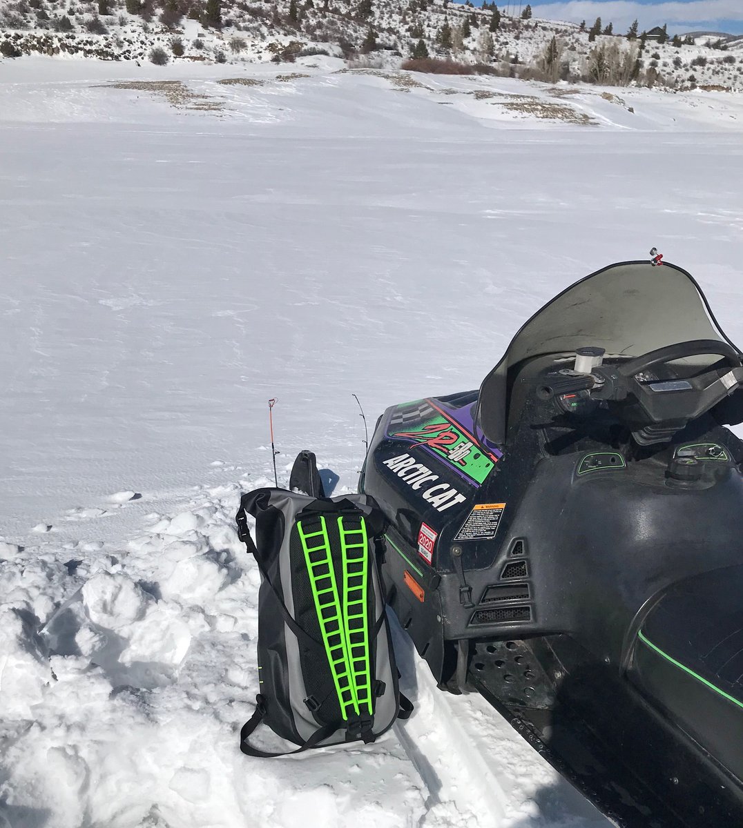 Seattle Sports tweet media