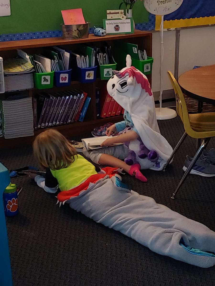 ShelbyBuzz's tweet photo. Book Picnic - That's what the class voted on for their Golden Cape reward. Love it! https://t.co/vZ9TLJbe3I