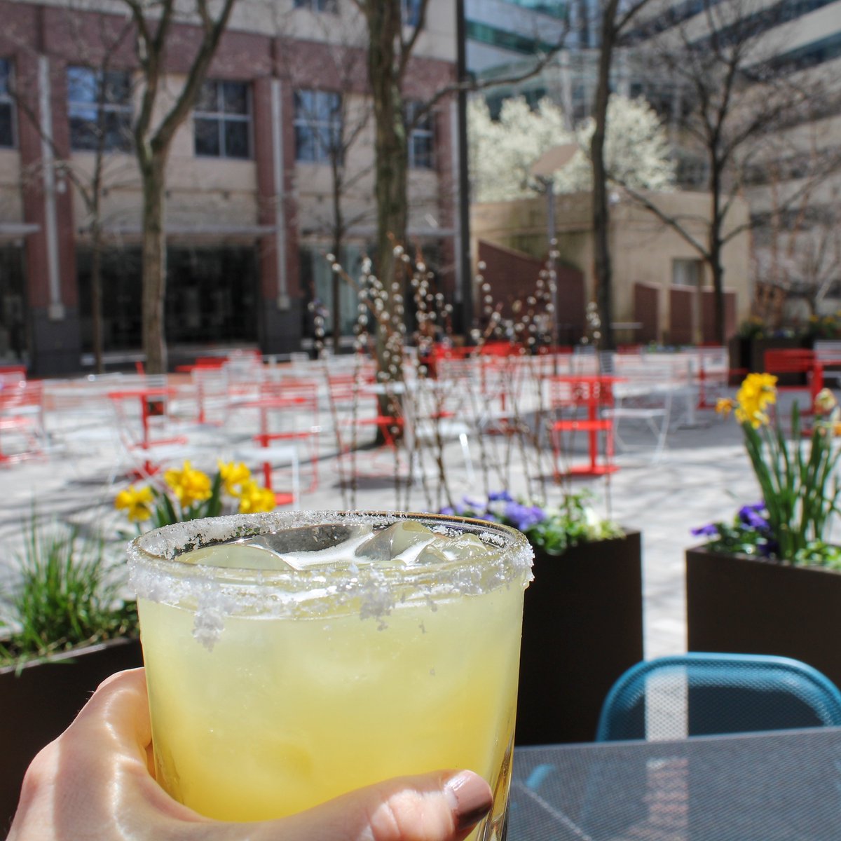 FlatTopJohnnys's tweet photo. #NationalMargaritaDay has us dreaming of warmer days on the #Flatio.. can you believe it's less than a month until spring? π± #kendallsq #cambma https://t.co/xndnpVhG9S