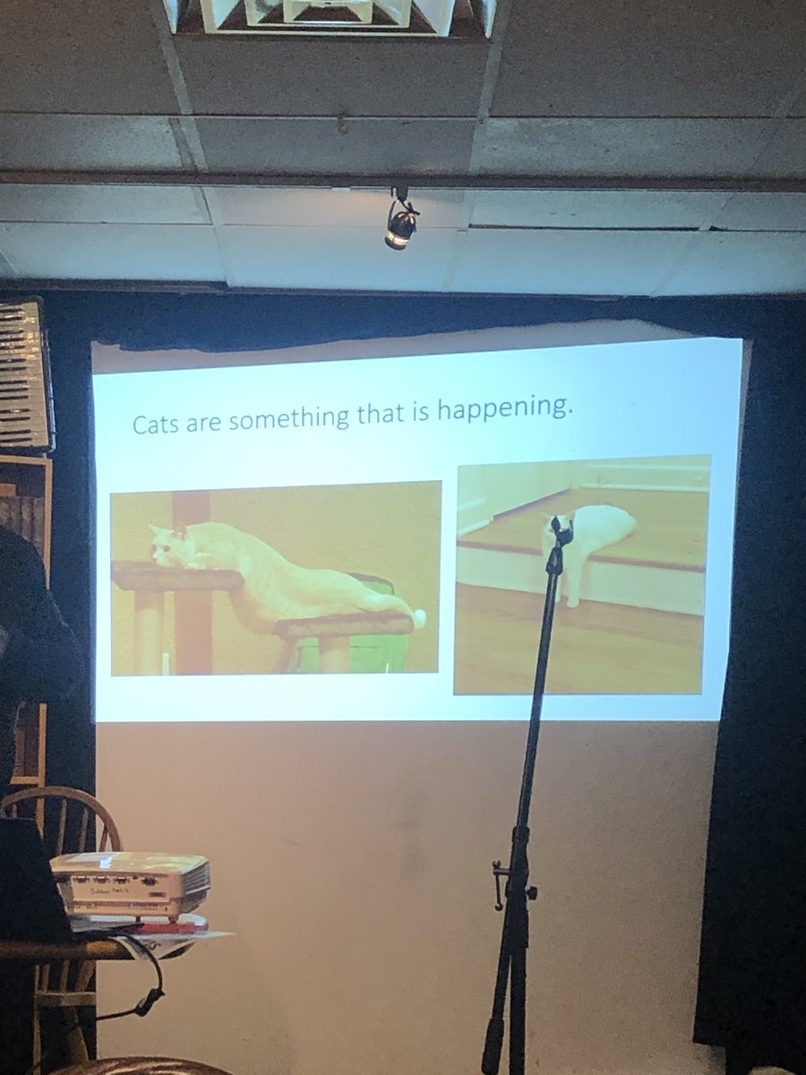 NerdNiteSC's tweet photo. Cats are verbs! #NerdNiteSC https://t.co/Wkv5I6w0JU