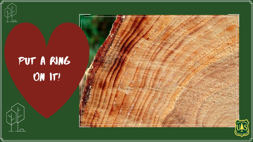 “Put a ring on it!”

Happy #ValentinesDay week!

#ForestLove