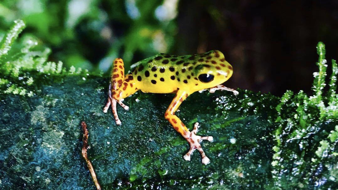 Gina Lloyd tweet media