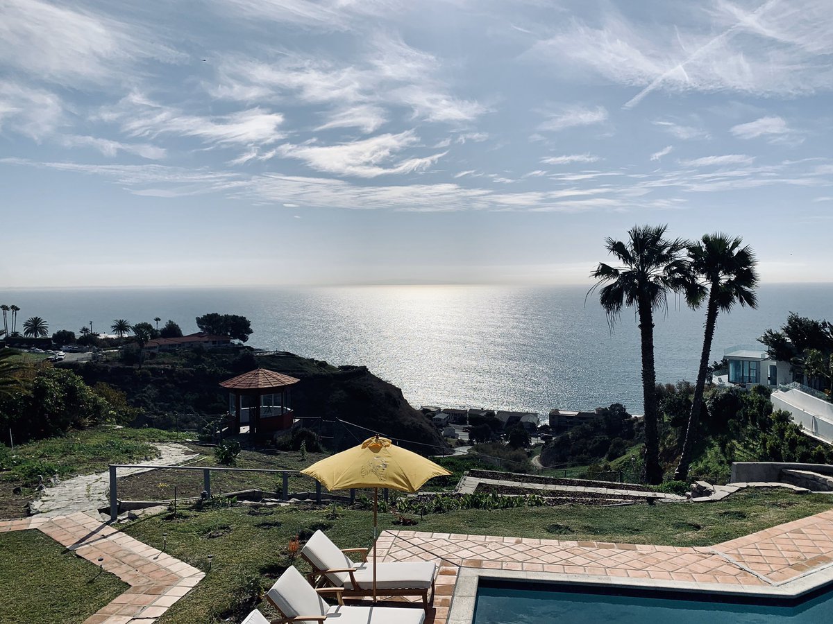 Ross Gerber tweet media