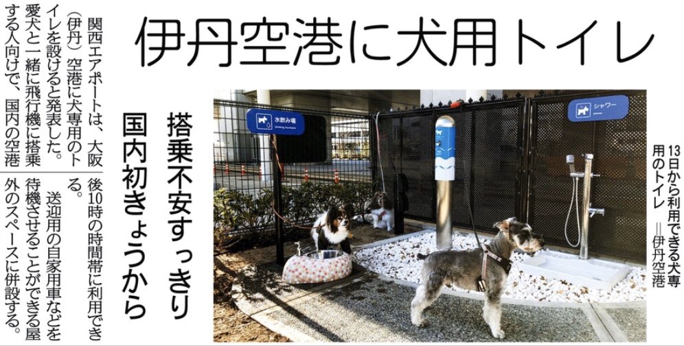 関西にこそニュースがある Pa Twitter 紙面キリトリ 伊丹空港に犬用トイレ 関西エアポートは 大阪 伊丹 空港に犬専用のトイレを設けると発表しました 愛犬と一緒に飛行機に搭乗する人向けで 国内の空港としては初の試みと言います 13日付大阪版 伊丹 関西にこそニュースがある Pa Twitter 紙面キリトリ 伊丹空港に犬用トイレ 関西エアポートは 大阪 伊丹 空港に犬専用のトイレを設けると発表しました 愛犬と一緒に飛行機に搭乗する人向けで 国内の空港としては初の試みと言います 13日付大阪版 伊丹