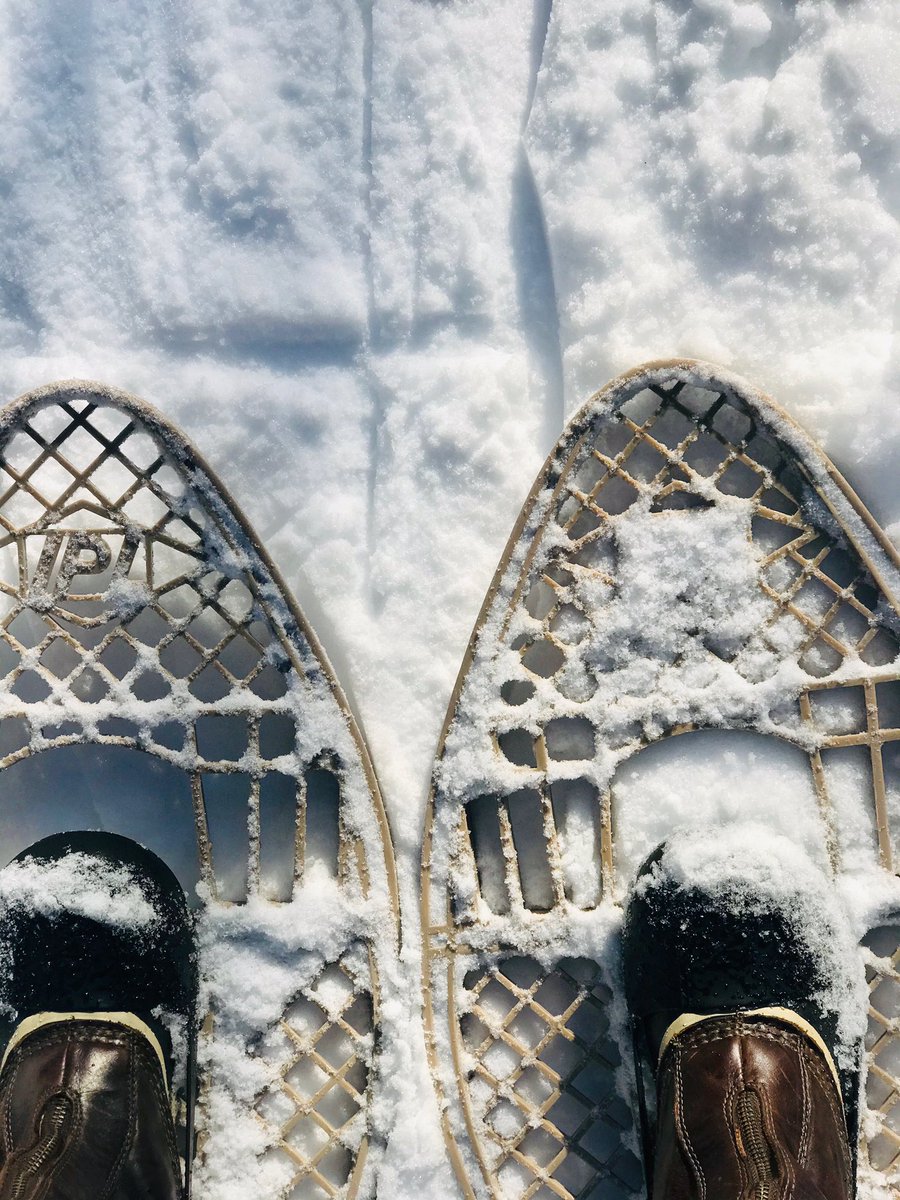 ThibaultsClass's tweet photo. What an incredible day! Thank you SilverCreek for teaching us how to snowshoe... memories we will have forever. https://t.co/cZkUkArUKE