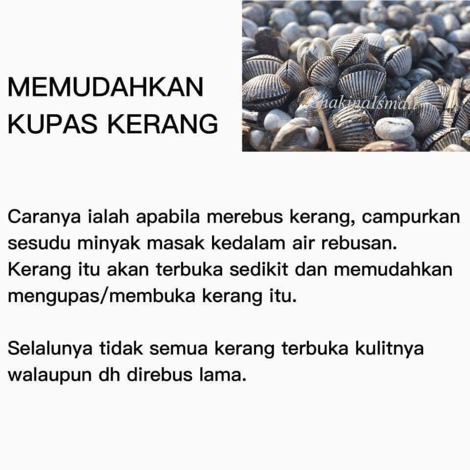 Sayur Kerang Kupas / Resep Kerang Kupas Saus Tiram Bisa ...