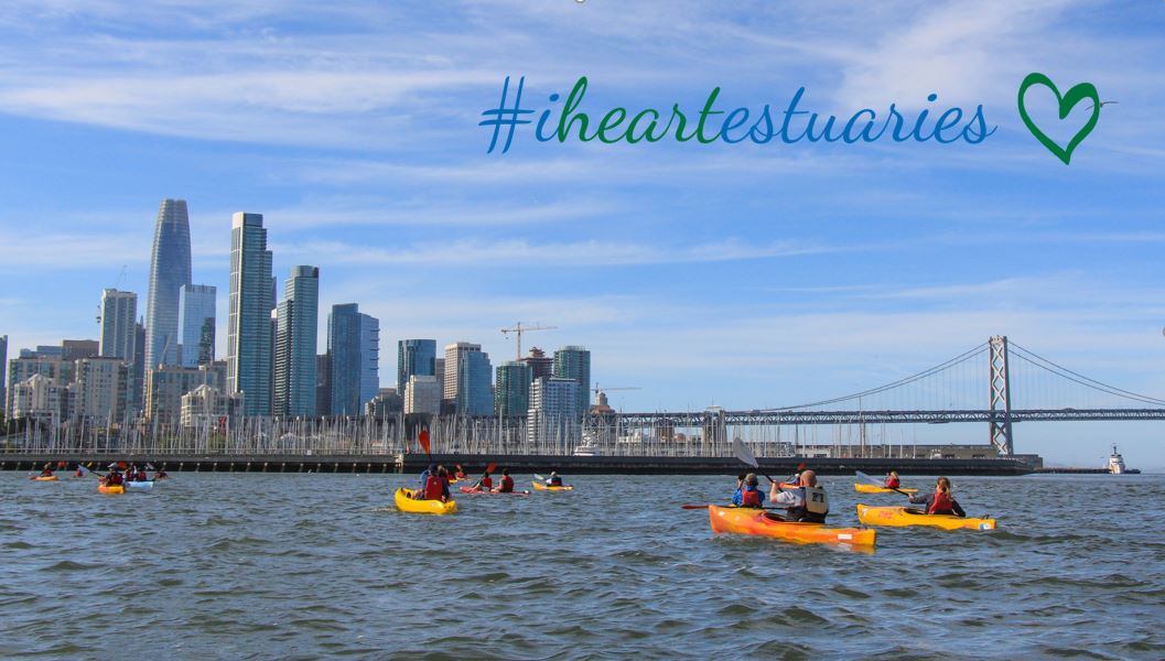 Estuaries are a vital part of our natural infrastructure. 22 of the 32 largest cities in the world are located on estuaries - and the SF Bay is the largest estuary on the west coast! #Iheartestuaries #estuarylove