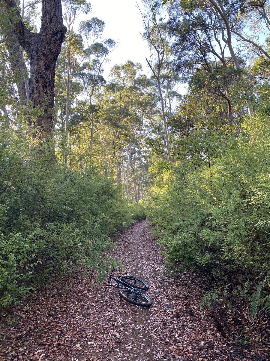 Jamie Nicolaou tweet media