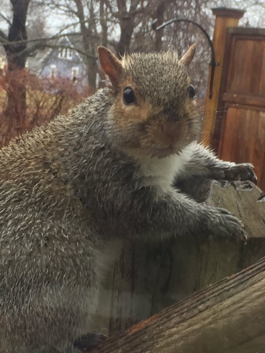 All wet, hey you might need a raincoat.