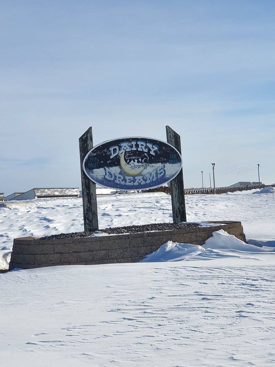tdibble90's tweet image. Day 4 Alta Wisconsin Tour 2020
Dairy Dreams 3000 cows 44L milk 42/42 rapid exit 400+ cows per hour!  30% pg rate with sexed, YS on site, DOA below 1% Aspirations to reduce syncs using technology @AltaGeneticsUK