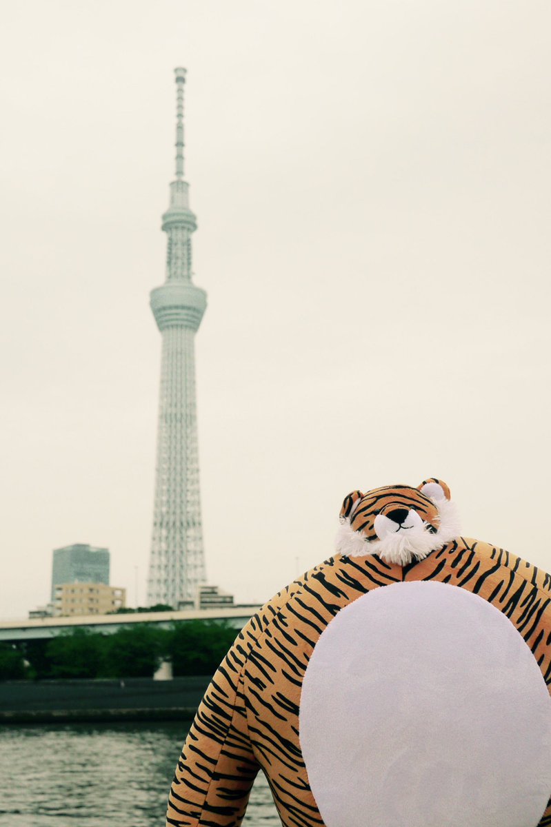 TinyHeadKingdom's tweet image. Twist wants to know the tallest structure you’ve ever visited. 

#tinyheads #thk #tinyheadedkingdom #twist