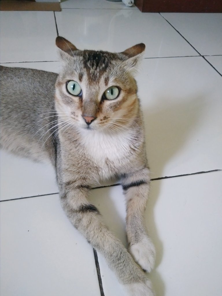 Dapet notif dari google foto
"Kenangan 13 Februari 2018"
Heeyyy you, miss u ♥️😻
