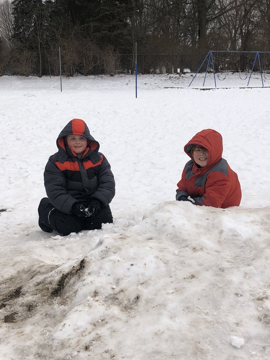 shellie avery-franz tweet media