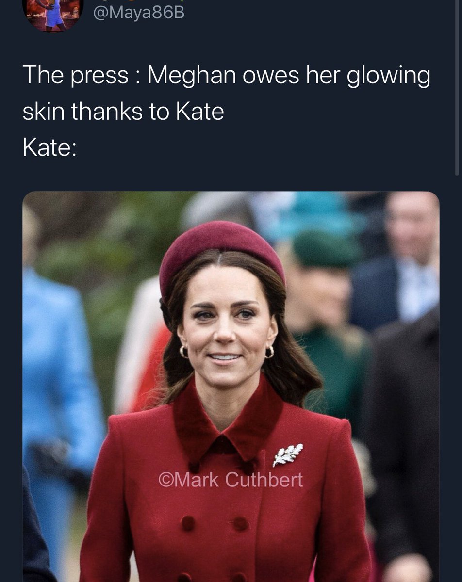 (37/37) her fans constantly drag Kate and Camilla, as well as William, Charles,Anne and the queen (but mainly Kate and I’m starting to see some Camilla) while they support someone who is all about feminism and uplifting/empowering women. Meghan would be embarrassed