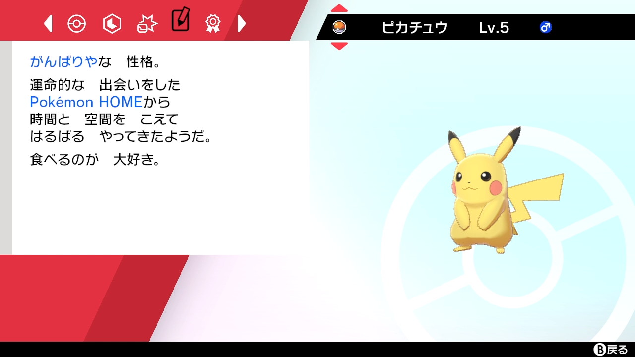 𝐴𝑘𝑖 ソードシールド ポケモンホーム経由でピカブイから色ちがいロコン ポケモンホームのピカチュウをそれぞれ無事に時間と空間を越えてはるばるお迎えしました さっそくみんなでキャンプをば みんな可愛いねぇ 親バカ ポケモン剣盾