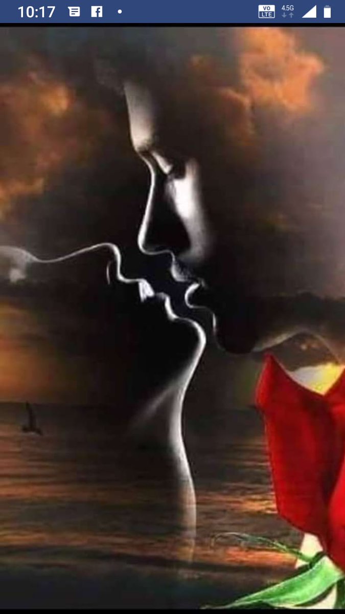 Toprak Asill (@asilltoprak) on Twitter photo 