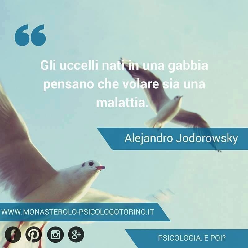 LucaMonasterolo's tweet photo. Gli uccelli nati in una gabbia pensano che volare sia una malattia.
Alejandro Jodorowsky
#Aforismi

https://t.co/EP4k94gXTI https://t.co/VSIeu9FtEm