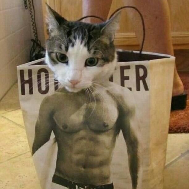 Haters say it's photoshopped