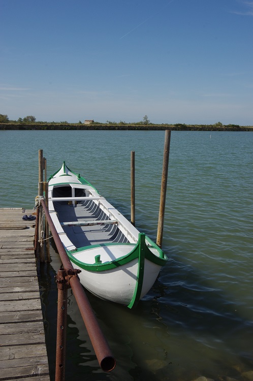 Nicoletta De Rossi tweet media