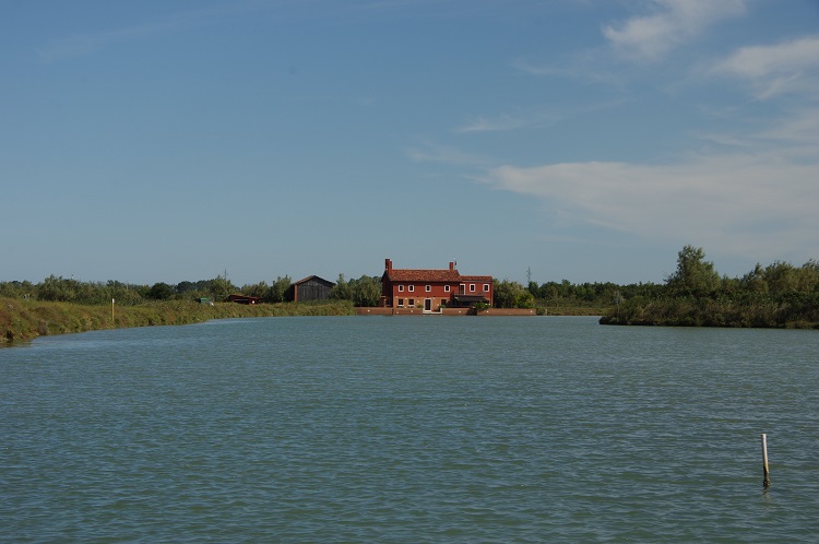 Nicoletta De Rossi tweet media