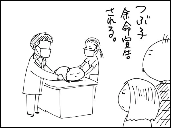 2020/2/7(金)の絵日記

絵日記まとめ
https://t.co/IaDMTlO0k3 