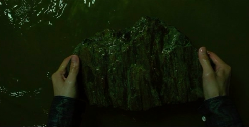 In Parasite (2019), the Scholar's Stone floats in the sewage water, revealing that the rock is fake & hollow: this explains why Ki-woo survived the head blow and implies that the dream for upward social mobility (which the stone represents) is full of hollow promises