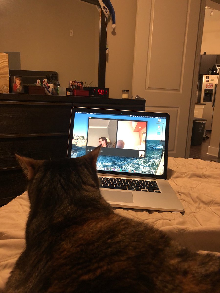 PSPMetrolina's tweet image. Metrolina had special guests Amber and S’mores join our executive board call tonight! #phisigmapi #pspcats