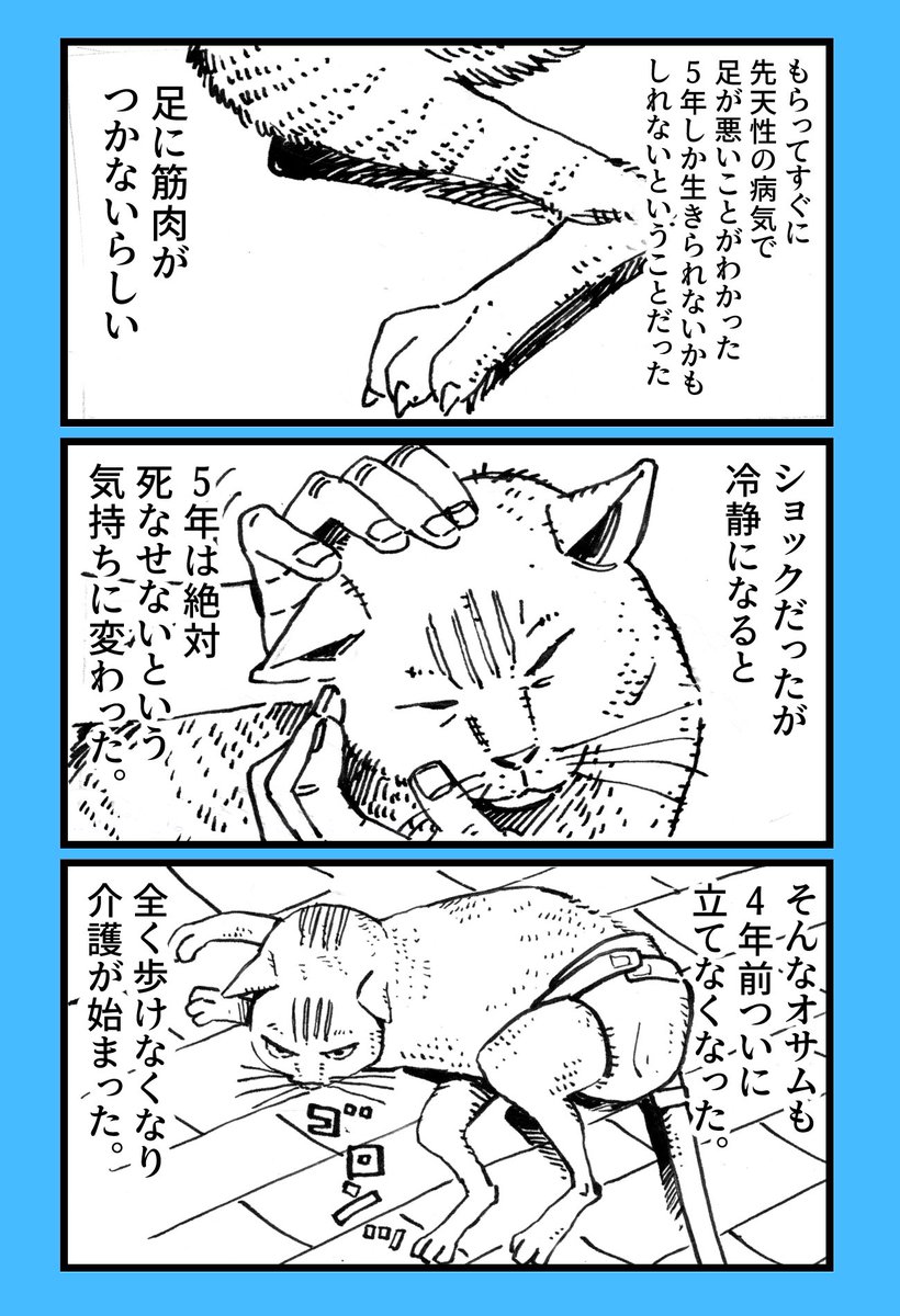 奥嶋ひろまさ 子ども達にネコの漫画頼まれたけど 介護漫画になっちゃいました 100歩だけ歩いたねこ 猫漫画 猫の介護