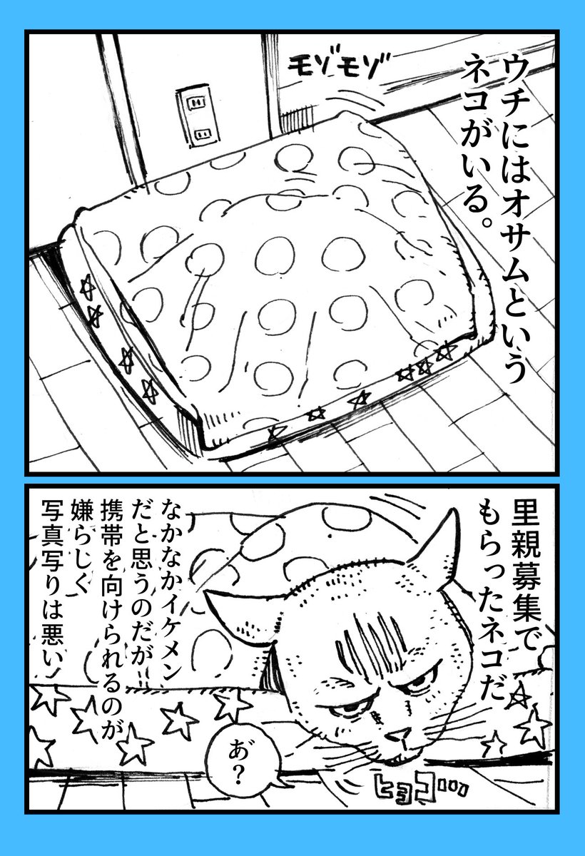 子ども達にネコの漫画頼まれたけど、介護漫画になっちゃいました。「100歩だけ歩いたねこ」#猫漫画 #猫の介護 