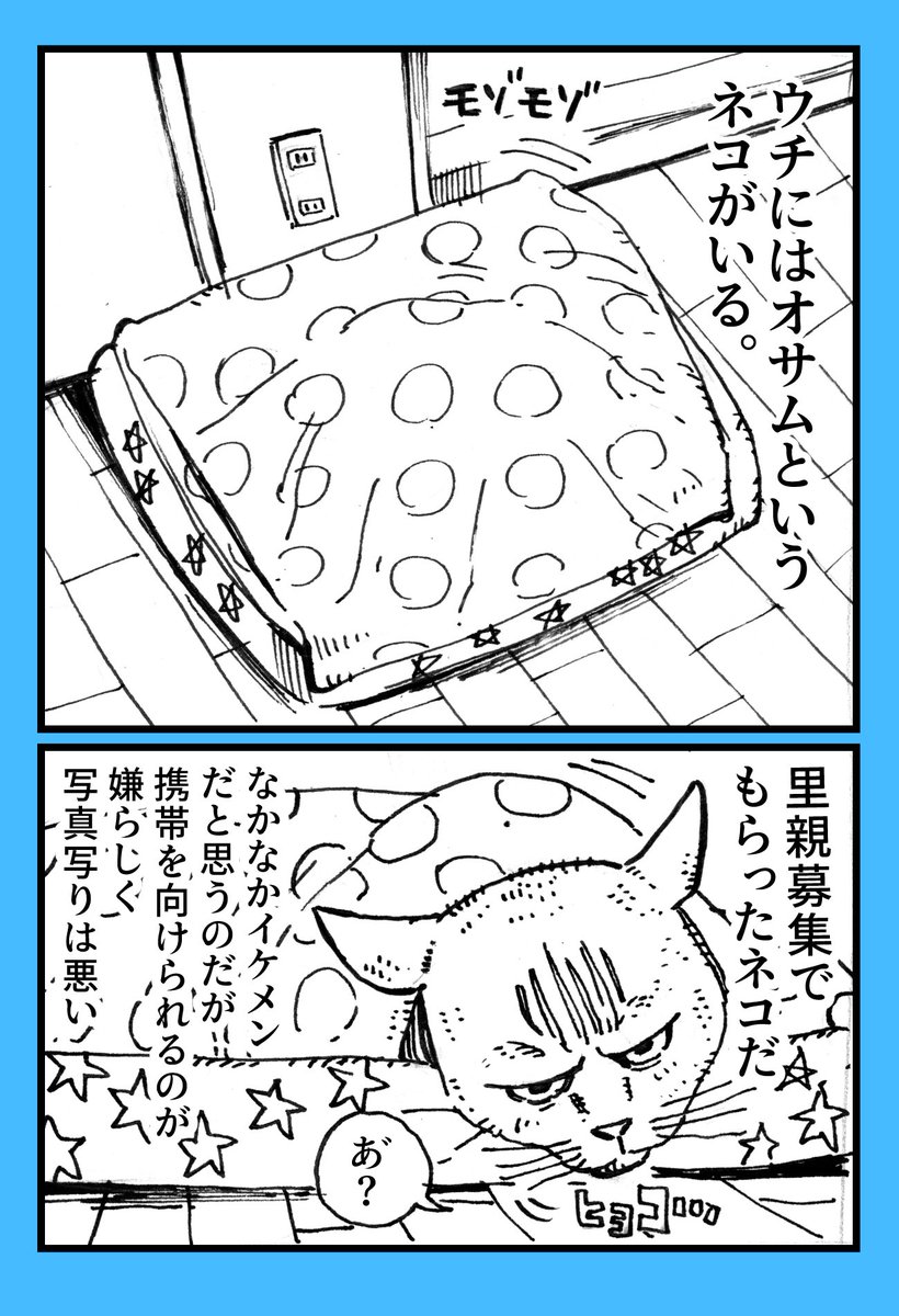 先天的に足が悪く5年しか生きられないと言われながら元気に生きる猫さんの漫画に元気づけられる 100歩だけ歩いたねこ Togetter 先天的に足が悪く5年しか生きられないと言われながら元気に生きる猫さんの漫画に元気づけられる 100歩だけ歩いたねこ Togetter