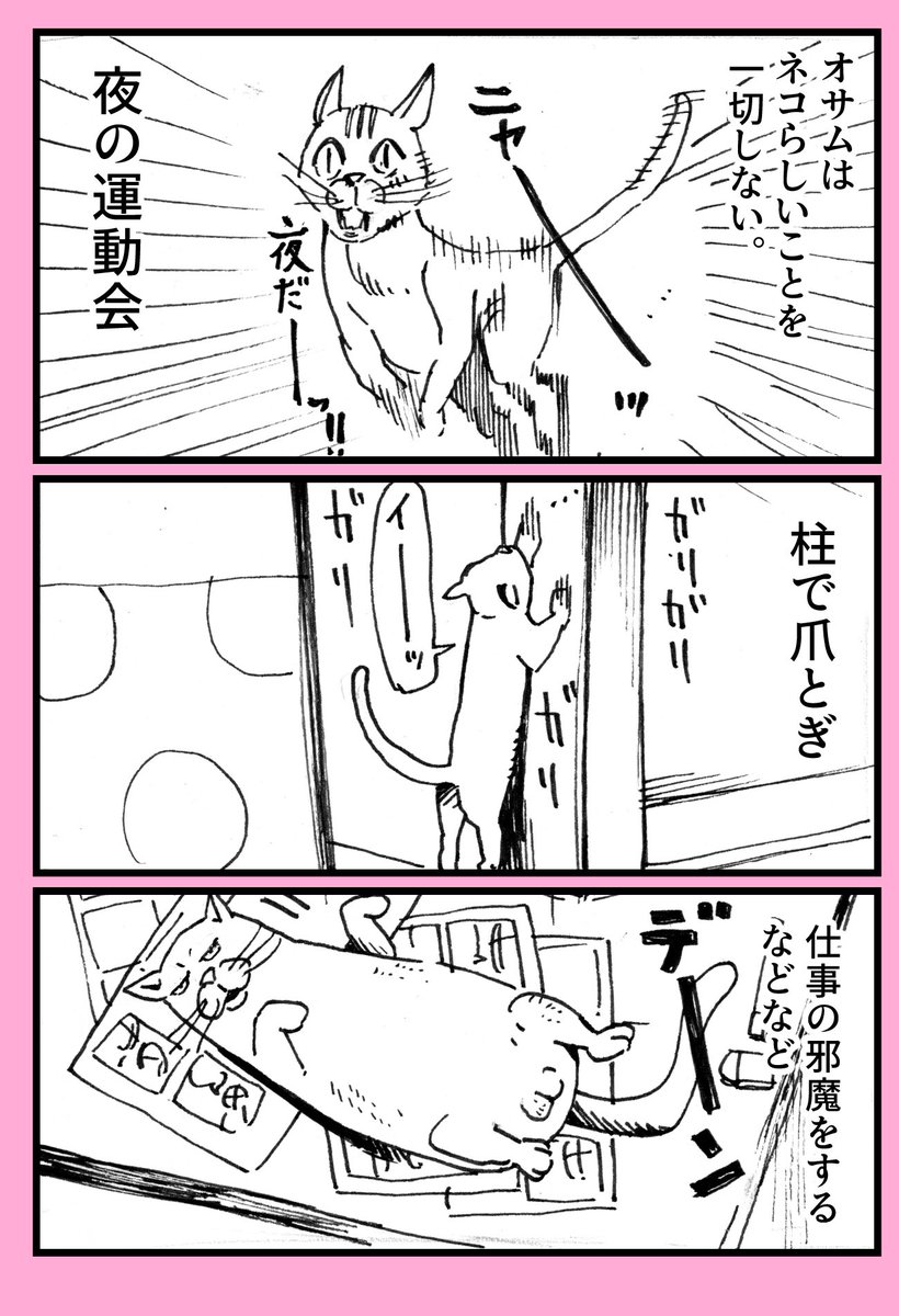 子ども達にネコの漫画頼まれたけど、介護漫画になっちゃいました。「100歩だけ歩いたねこ」#猫漫画 #猫の介護 