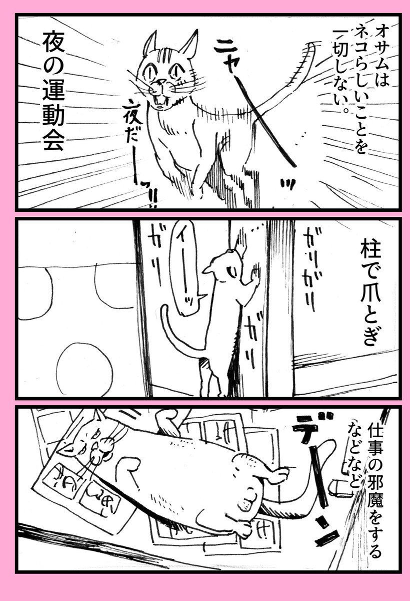 先天的に足が悪く5年しか生きられないと言われながら元気に生きる猫さんの漫画に元気づけられる 100歩だけ歩いたねこ Togetter 先天的に足が悪く5年しか生きられないと言われながら元気に生きる猫さんの漫画に元気づけられる 100歩だけ歩いたねこ Togetter