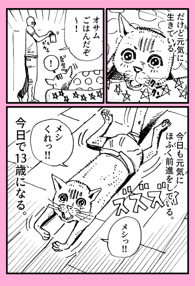 子ども達にネコの漫画頼まれたけど、介護漫画になっちゃいました。「100歩だけ歩いたねこ」#猫漫画 #猫の介護 