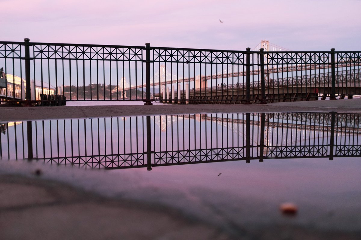 Jacques Bruwer 👾 tweet media