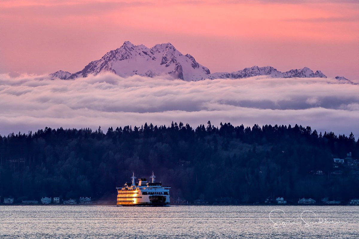 sigmas's tweet photo. The 6 layer cake that’s PNW! https://t.co/aehUf2fgMl